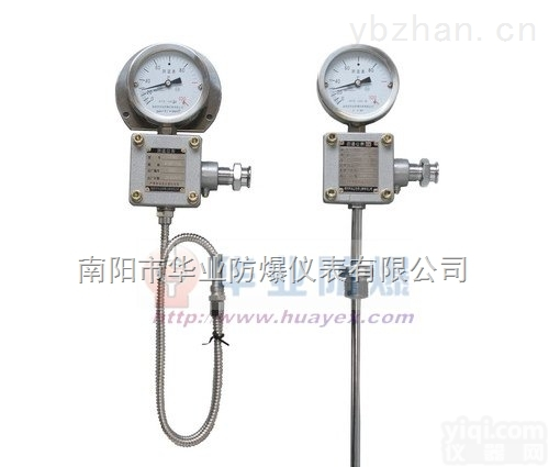 WTZd-285 （Z）/2 双支Pt100 防爆<em>热电阻</em>远传<em>温度仪表</em>