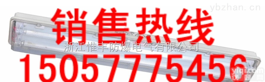 BYS-2*40-2*20  <em>BYS系列防爆防腐全塑荧光灯</em>