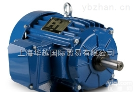 供应美国Elektrim Motors单相<em>电动机</em>Elektrim Motors<em>马达</em>Elektrim电