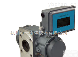 <em>LLQ</em>-<em>50</em>  <em>LLQ</em>-<em>50</em>-G40气体智能罗茨流量计