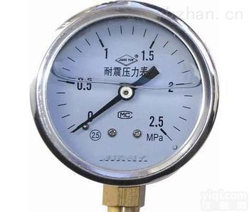 YN-150/YN-150Z  耐震<em>压力表</em>YN-100/YN-100T<em>天康</em><em>压力表</em>/YN-100Z/YN-100ZT