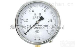 <em>远传</em><em>隔膜</em><em>压力表</em>