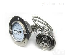 <em>毛细管</em><em>隔膜</em><em>压力表</em>
