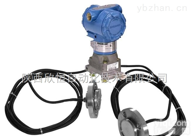 艾默生Rosemount<em>罗斯蒙特3051带远传1199系列变送器</em>