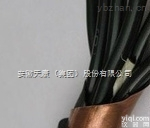 GF-WDZEESR--125--2*5  <em>光伏</em><em>发电系统</em>用双芯可分离型<em>直流</em>软电力电缆GF-WDZEESR--125--2*50