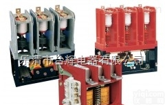 <em>EVS</em>-<em>1000</em>