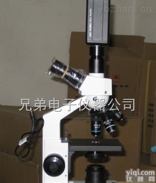 XD56677  山东一滴血<em>检测仪</em>V血<em>细胞</em><em>检测仪</em>身体<em>检测仪</em>