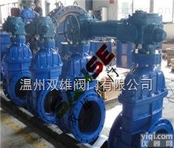 <em>电动弹性座封闸阀</em>  <em>电动弹性座封闸阀</em>