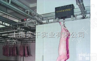 电子防滑<em>过磅</em><em>轨道</em>秤，猪肉生肉电子<em>轨道</em>称