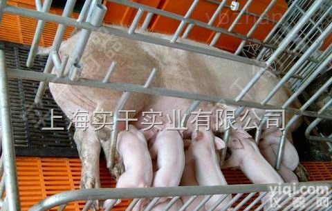 动物称重打印<em>畜牧</em>秤，猪羊称重<em>防水</em>动物秤