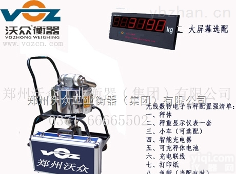 TP  <em>定州市</em>电子<em>吊秤</em>系统价格品Pai参数