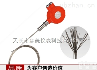 <em>WRNK</em>-20/2/3/2/DDD  森美科技 整体<em>多点</em>式<em>铠装</em>热电偶