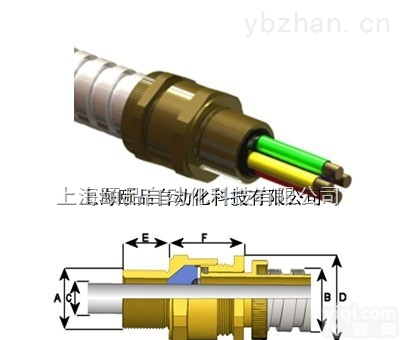EPIN-CMP A2FFC <em>Type</em>  EPIN-CMP A2FFC <em>Type</em> cable gland（A2FFC<em>系列</em>）
