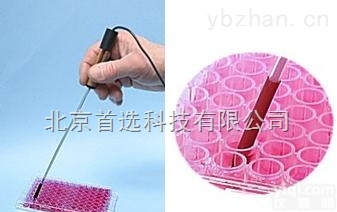 <em>微型 pH电极</em>测试系统