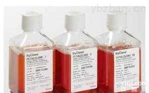 <em>南美洲胎牛血清</em>