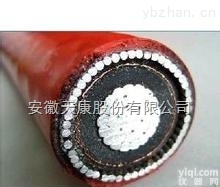德国缆普<em>电缆</em>  N2XRY1x500rm  钢丝<em>铠装</em><em>电缆</em>