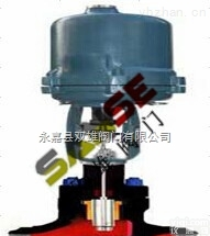 <em>电动高压笼式调节阀  电动高压笼式调节阀</em>