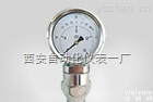 YK-<em>100</em><em>抗震</em><em>压力表</em>