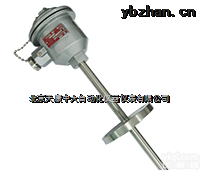<em>天康</em>仪表WRNK-440隔爆型<em>本安</em>型<em>热电偶</em>