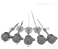 <em>天康</em>直供WRE-440A隔爆型<em>本安</em>型<em>热电偶</em>