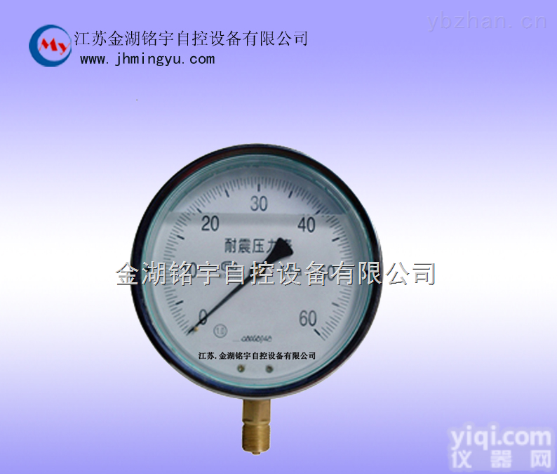 MY-YN-60/100/150  耐震<em>压力表</em>-厂家报价-<em>品质保证</em>