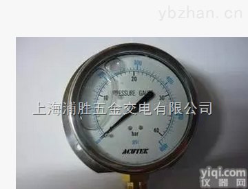 YN100T 1Mpa   <em>径向</em>带后边 耐震<em>压力表</em> <em>船用</em><em>压力表</em>