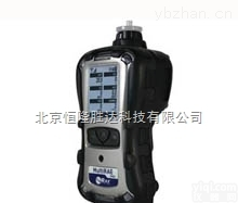PGM-6208  美国华瑞MultiRAE 2有毒<em>有害</em>气<em>检测仪</em>PGM6208