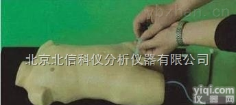 DL18-JDRT  儿童股<em>静脉</em>与股<em>动脉</em><em>穿刺</em>训练模型