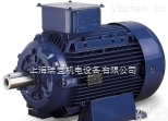 专业销售意大利<em>MarelliMotori</em><em>低压</em><em>异步发电机</em>