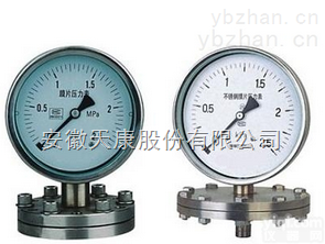 （天仪Pai）YPF-100 YPF-150<em>防腐</em>膜<em>片式</em><em>压力表</em>