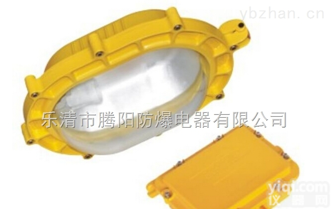 BFC8120防爆<em>强光</em><em>泛光</em><em>应急灯</em>
