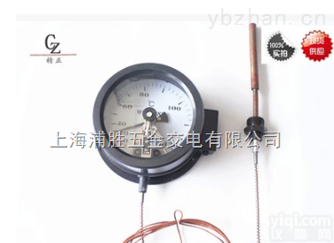 WTZ280  WTQ/WTZ280/288/Y150/<em>远传</em>/锅炉/电<em>接点</em>压力式温度计
