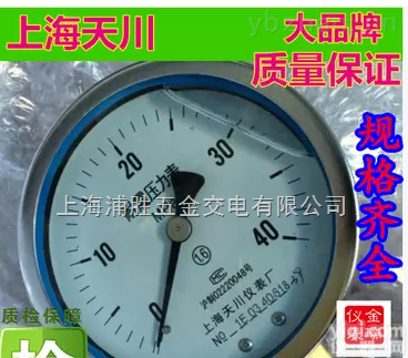 yn100  <em>耐震</em><em>压力表</em>yn100油压表液压