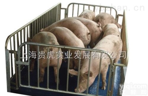 <em>地磅</em>  3吨电子<em>地磅</em> <em>畜牧</em><em>地磅</em>3吨带围栏