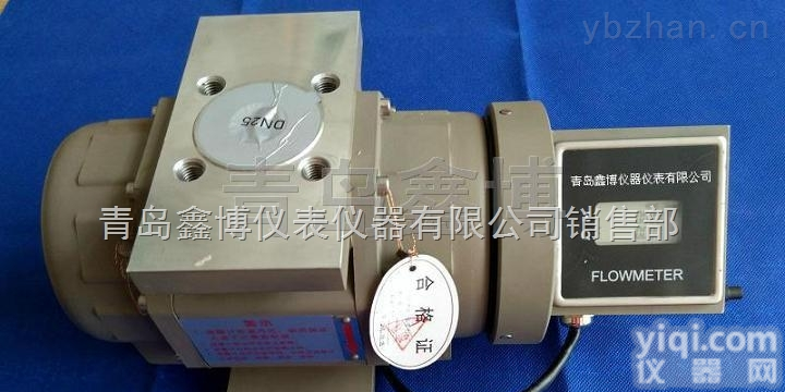 XBOLLQ  DN25气体<em>罗茨</em>腰轮<em>流量计</em>，天然气<em>罗茨</em>表