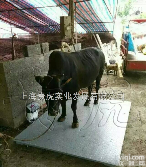 GH-DNC  <em>地牛</em>秤，<em>地牛</em><em>电子秤</em>，电子<em>地牛</em>称多少钱