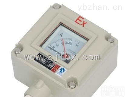 <em>BYB</em><em>防爆</em>仪表电压表 <em>电流表</em>