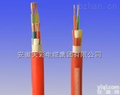 KGGP2  <em>硅橡胶</em>铜带<em>屏蔽</em><em>控制电缆</em>