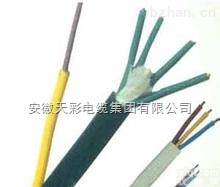 DJFV系列  氟塑料柔性耐高温<em>计算机</em><em>电缆</em>优质生产<em>厂家</em>