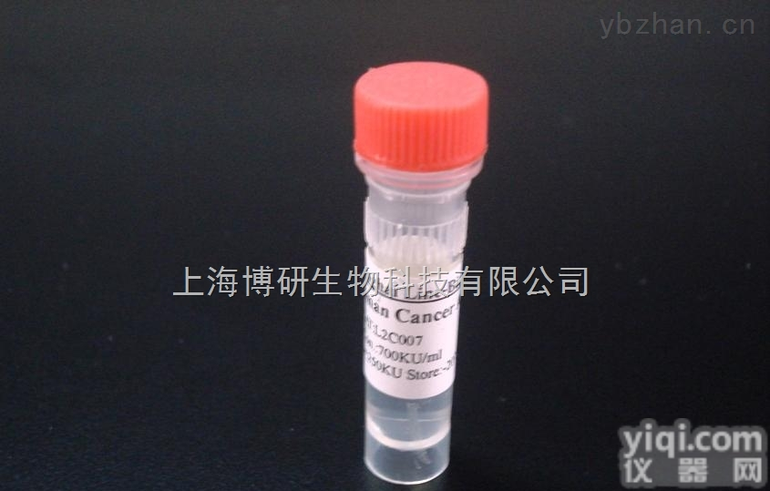 <em>即早反应蛋白3相互作用蛋白1抗体</em>，Anti-IER3IP1抗体