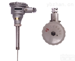 <em>WZP</em>-<em>24</em>SA  <em>WZP</em>-<em>24</em>SA<em>隔爆铂电阻</em>型号