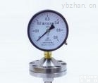 YP-100-BZ<em>耐腐</em><em>耐震</em><em>膜片</em>压力表