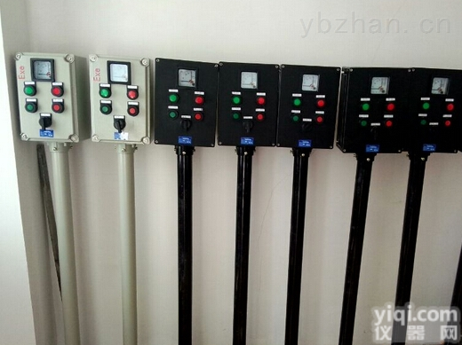 BZC8060-B1C2K1L一表二<em>带灯</em><em>按钮</em>一<em>开关</em>立式