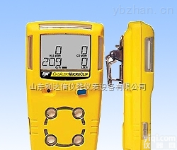 LDX-HRX-BW-2  多功能气体检测仪/多功能气体检测仪