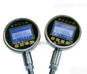 LDX-JH-HQ-<em>YBS-C  精密数字压力表</em>/数字压力表/精密压力表