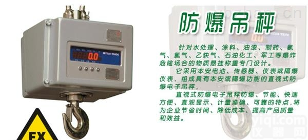 隔爆<em>吊秤</em>  <em>隔爆型</em>电子<em>吊钩</em>秤_厂家