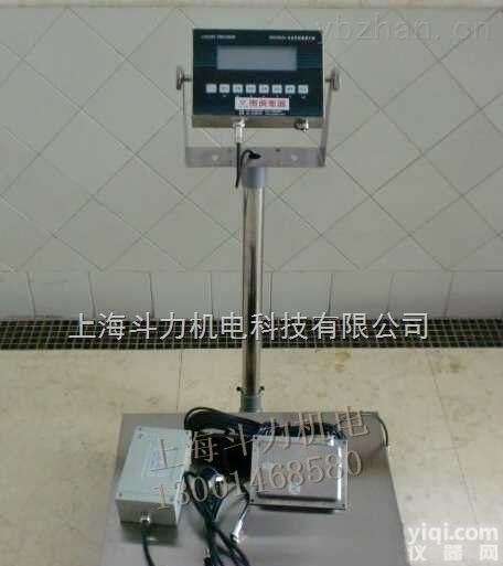 DL-EX<em>本安</em>型<em>台秤</em>  500公斤<em>防爆</em><em>台秤</em>【<em>防爆</em><em>台秤</em>500kg】