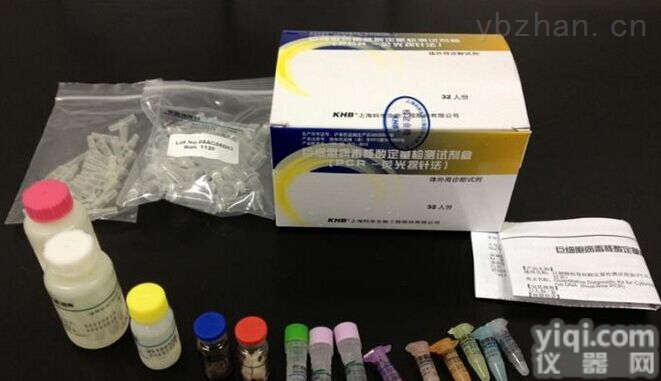 小鼠<em>白介素12 p40试剂盒</em>（IL-12/p40精确检测）