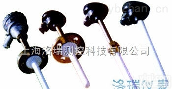 <em>WRPF</em>-130G  高温<em>防腐</em><em>热电偶</em> <em>WRPF</em>-130G