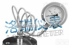 YTP-100H/RL/MF  <em>法兰</em>式软管<em>连接</em>不锈钢隔膜压力表 Y-100BF/RL/MF